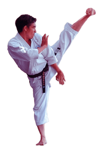 martial arts school cta bg 1